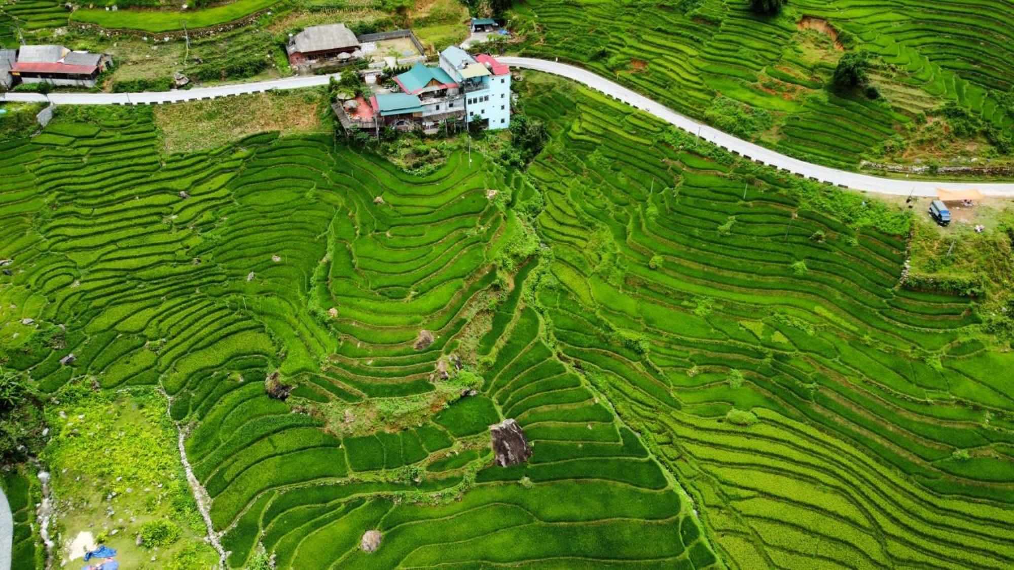 Hoa'S Homestay Sapa Dış mekan fotoğraf