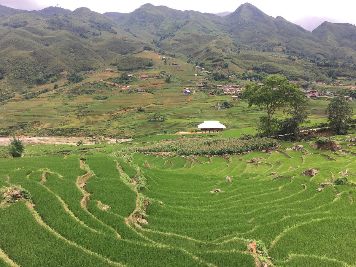 Hoa'S Homestay Sapa Dış mekan fotoğraf