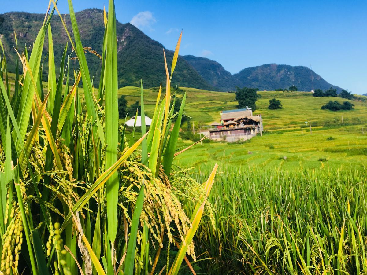 Hoa'S Homestay Sapa Dış mekan fotoğraf