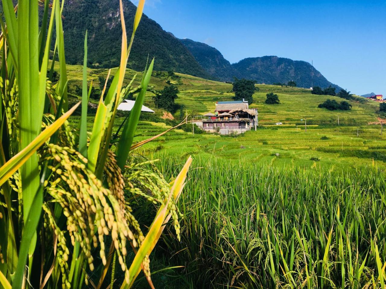 Hoa'S Homestay Sapa Dış mekan fotoğraf