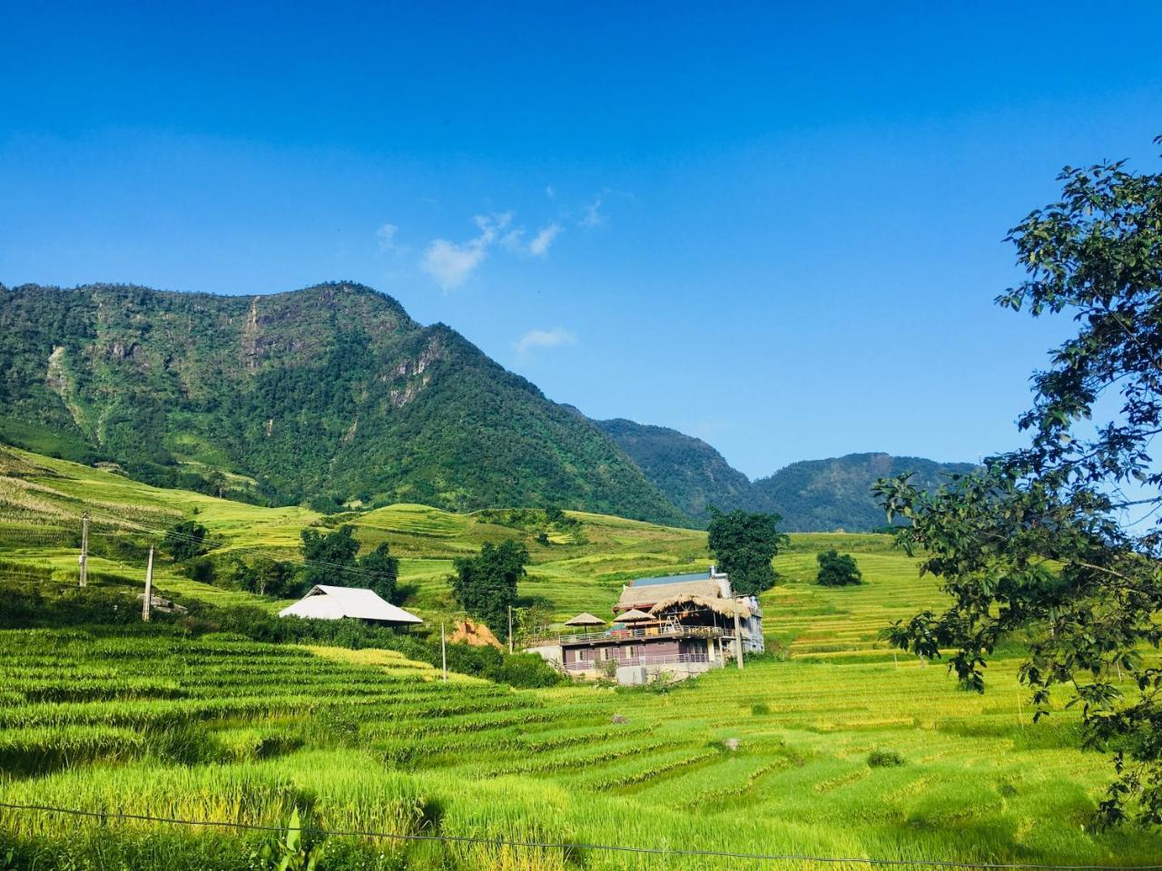 Hoa'S Homestay Sapa Dış mekan fotoğraf